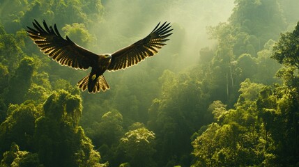 Obraz premium A majestic eagle soars over a lush, green forest, capturing the beauty of nature.