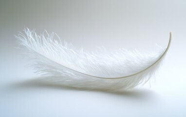 Fototapeta premium Single white feather floats on white background; gentle, calm, peaceful scene; ideal for design.