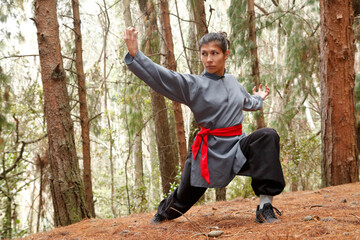 
Wushu Kung fu red belt