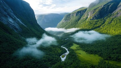 Breathtaking Vista of a Serene Mountain Valley Blanketed in Fog, Showcasing the Lush Green Forests and Meandering River Under the Clear Blue Sky of Early Morning Light.