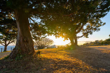 和歌山県　本州最南端からの夕陽の風景(2024年12月)