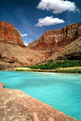 Desert Oasis in the Grand Canyon on Little Colorado River