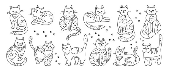 Cats hand drawn doodle childish set. Cute kitten with outline ornament. Pet with pattern, linear funny animal design for kids. Cats in different poses. Mammal drawing character vector illustration