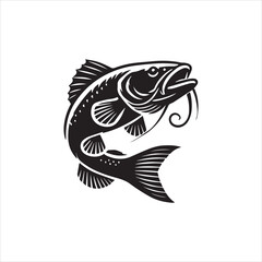 fish on white background