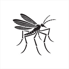 black and white dragonfly