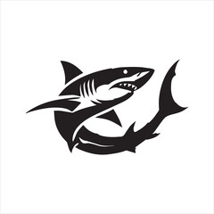 fish isolated on white