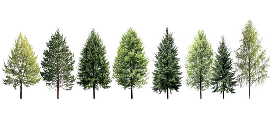Fototapeta premium collection of various green trees isolated on transparency background showcases diverse foliage and shapes, perfect for nature and landscaping projects