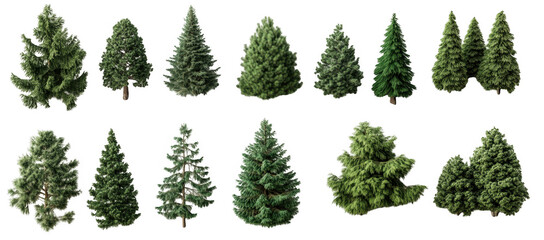 collection of various green trees isolated on transparency background showcases diverse foliage and shapes, perfect for nature and botanical studies