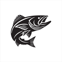 fish on a white background