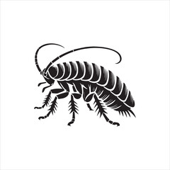 illustration of a beetle
