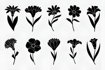 collection of black and white floral design elements with simple and minimalistic flower illustrations