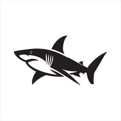 shark illustration