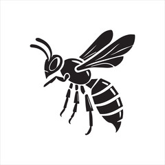 illustration of a wasp