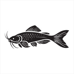 fish on a white background