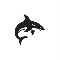 Fototapeta premium shark isolated on white