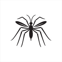 mosquito vector