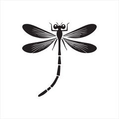 dragonfly on white background