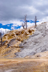 Landscape at Mammoth Hot Springs