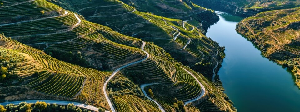 A stunning aerial view of the winding roads and terraced vineyards of the Douro Valley in Portugal, with the river meandering through the lush landscape, Douro Valley scene