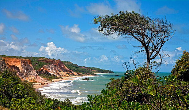 Praia de Tambaba. Joao Pessoa. Paraiba.
