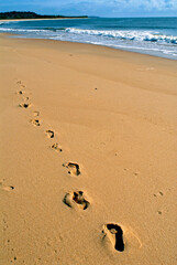 Praia em Trancoso. Bahia.
