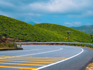 Ghat Road Through Tea Estates Under a Blue Sky