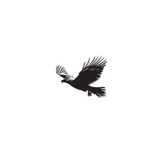 drawing_of_fliying_eagle_one_color_logo_black_white_vector