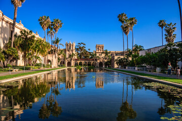 A large pool of water with palm trees in the background