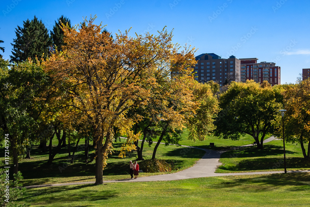 Wall mural a couple is walking on a path in a park with trees in the background