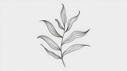 Minimal Line Drawing of a Plant with Thin Leaves and a Sturdy Stem on a White Background