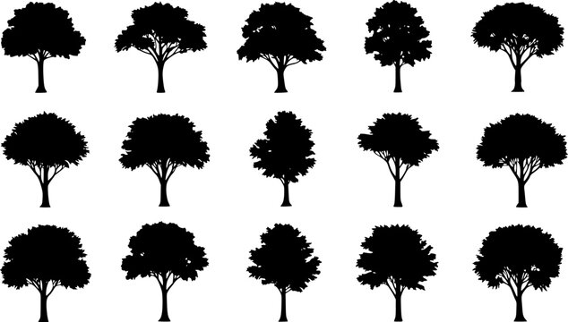 various deciduous trees silhouettes on the white background. vector set. PNG white background