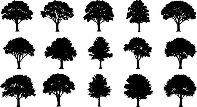 various deciduous trees silhouettes on the white background. vector set. PNG white background