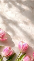 Delicate pink tulips rest elegantly on a pristine white surface, casting a soft shadow that enhances their romantic charm, perfect for Valentine's Day.