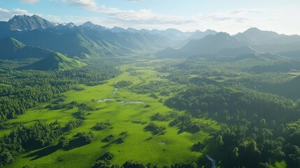 Fototapeta premium A vibrant green valley surrounded by dense forests and glowing sunlit peaks.