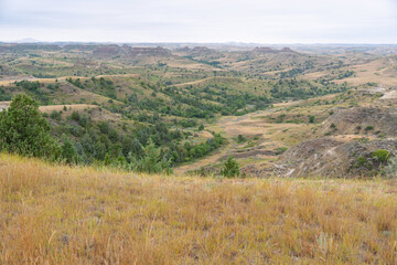 Fototapeta premium Petrified Forest