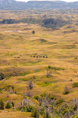 Painted Canyon Trail
