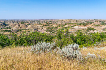 Painted Canyon Trail