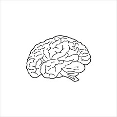 brain sketch drawing artwork handmade illustration