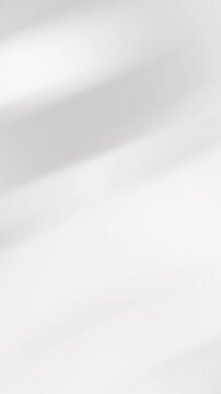 Vertical seamless animation of white color gradient background