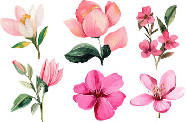 pattern with pink flowers