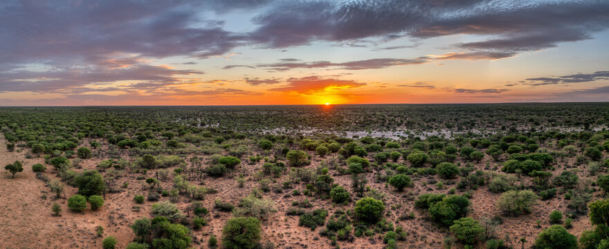aerial view of bushveld southern Africa, acacia trees at sunset in the sand