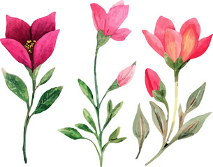 set of pink and green flowers