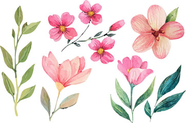 pattern with pink flowers