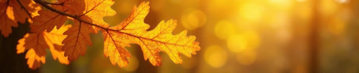 Fototapeta premium Yellow and orange hues of an autumn oak branch, leaf, yellow, orange