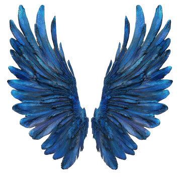 Collection of PNG. Beautiful and huge angle blue wings, isolated on a transparency background.