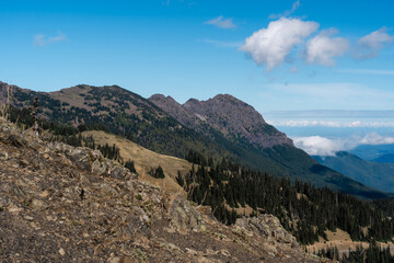 Hurricane Ridge in Olympic National Park in the Pacific Northwest in Washington 