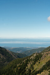 Hurricane Ridge in Olympic National Park in the Pacific Northwest in Washington 