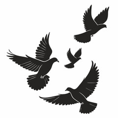 vector illustration of a flying birds