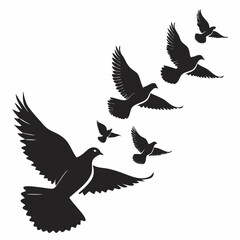 vector illustration of a flying birds