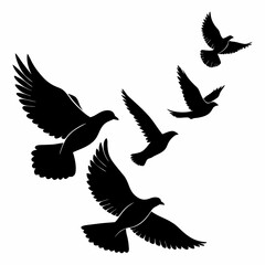 vector illustration of a flying birds